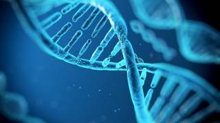 The Genetic Potential for Intelligence