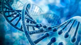 Gene Editing Reveals New Insights About Early Human Development